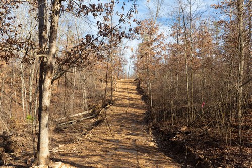 Windy Ridge Tract 8
