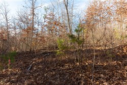 Windy Ridge Tract 8