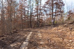Windy Ridge Tract 8