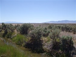 Elko County Tract 304