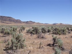 Elko County Tract 304