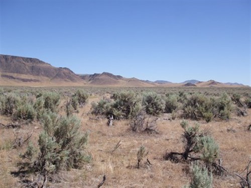 Elko County Tract 304