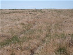Elko County Tract 304