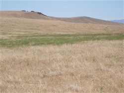 Elko County Tract 304