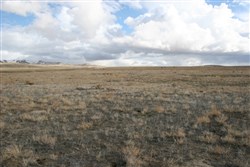 Humboldt County Tract 11