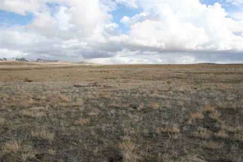 Humboldt County Tract 11