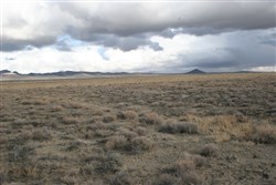 Humboldt County Tract 11