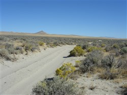 property photo for Humboldt County Tract 6, 40.98 acres for sale in Humboldt County, Nevada