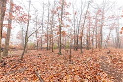 Carters Crossing Tract 3