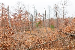 Carters Crossing Tract 5