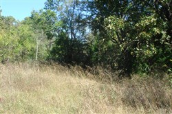Hannubby Creek Tract 6