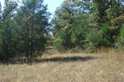 Hannubby Creek Tract 6