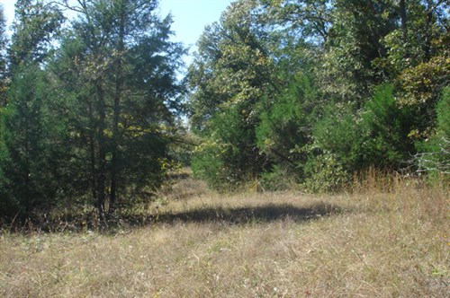 Hannubby Creek Tract 6
