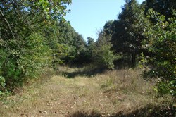 Hannubby Creek Tract 6
