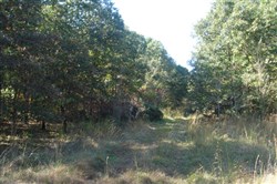 Hannubby Creek Tract 6