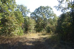 Hannubby Creek Tract 6