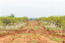 Granite Valley Tract 8