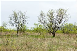 Granite Valley Tract 8