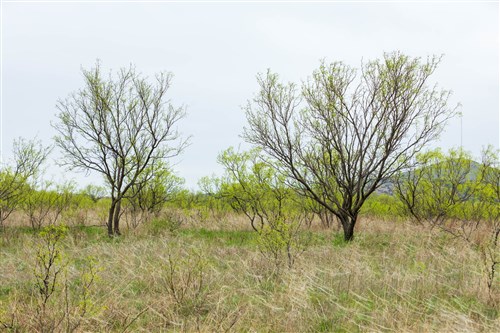Granite Valley Tract 8