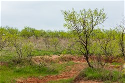 Granite Valley Tract 8