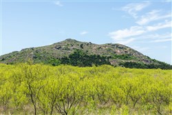 Hackberry Fields Tract 1