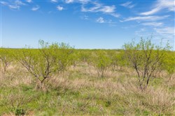 Hackberry Fields Tract 1