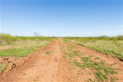 Hackberry Fields Tract 12