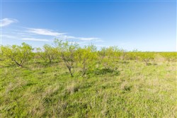 Hackberry Fields Tract 12