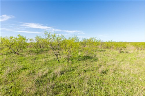 Hackberry Fields Tract 12