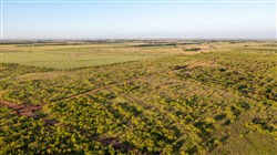 Hackberry Fields Tract 12