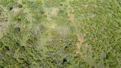 Hackberry Fields Tract 12