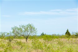 Hackberry Fields Tract 13