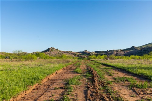 Hackberry Fields Tract 15