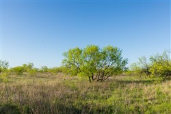 Hackberry Fields Tract 15
