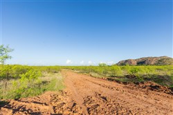 Hackberry Fields Tract 16