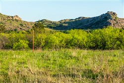 Hackberry Fields Tract 16