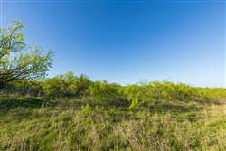 Hackberry Fields Tract 16