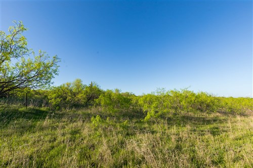 Hackberry Fields Tract 16