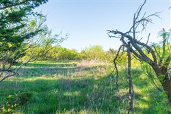 Hackberry Fields Tract 16