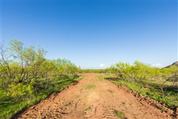 Hackberry Fields Tract 17