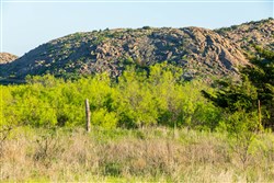 Hackberry Fields Tract 17
