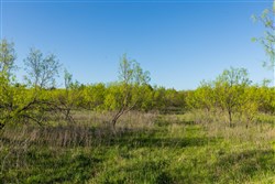 Hackberry Fields Tract 17