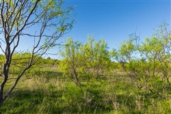 Hackberry Fields Tract 17