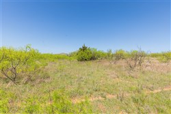 Hackberry Fields Tract 19