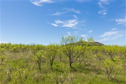 Hackberry Fields Tract 2