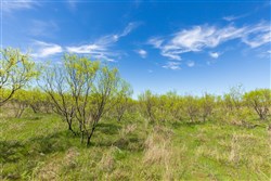 Hackberry Fields Tract 2