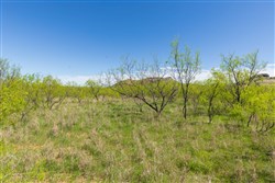 Hackberry Fields Tract 20