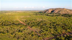Hackberry Fields Tract 20