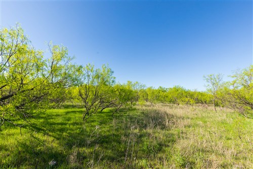 Hackberry Fields Tract 21