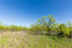 Hackberry Fields Tract 21